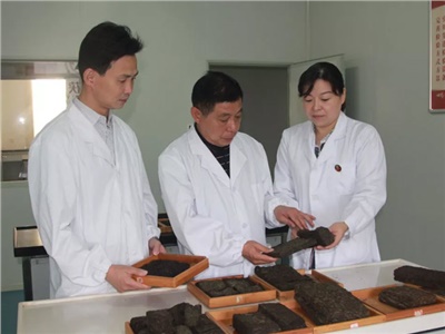 傳承茯茶非遺技藝、開拓創(chuàng)新引領(lǐng)行業(yè)發(fā)展