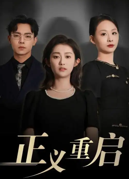 律师本色 第3季 海报